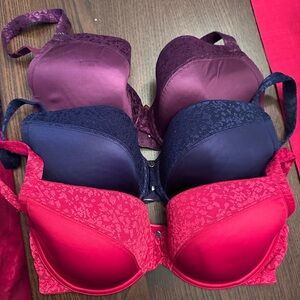 Le Mystere Safari T Women's Lace Bra Set - Purple, Blue, Red